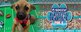 SDCCU Puppy Bowl