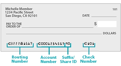 Checking-101.webp Checking-101.webp