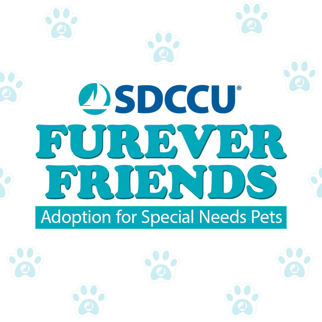 SDCCU Puppy Bowl