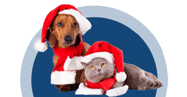 Presents for Paws 